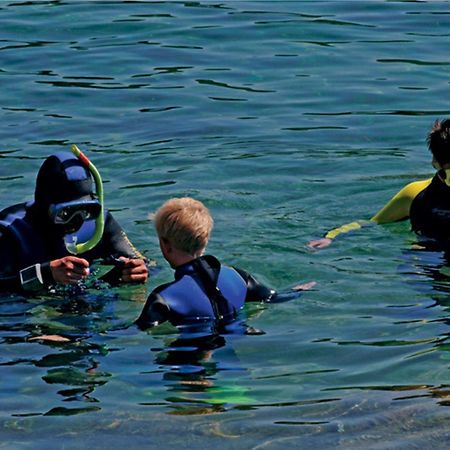 Diana B&B Mali Lošinj Dış mekan fotoğraf